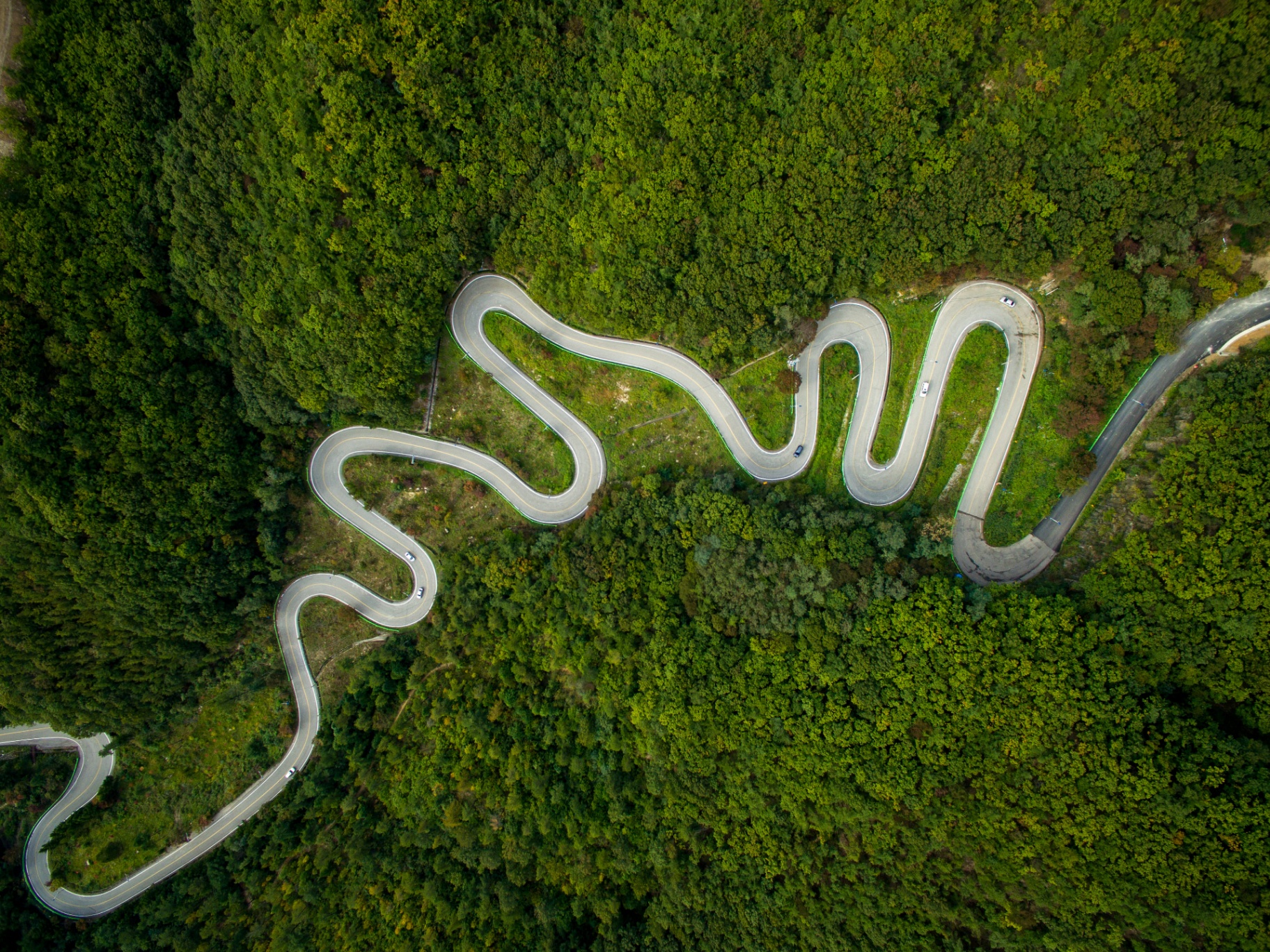 Winding road through a forest, representing a prioritised modernisation roadmap